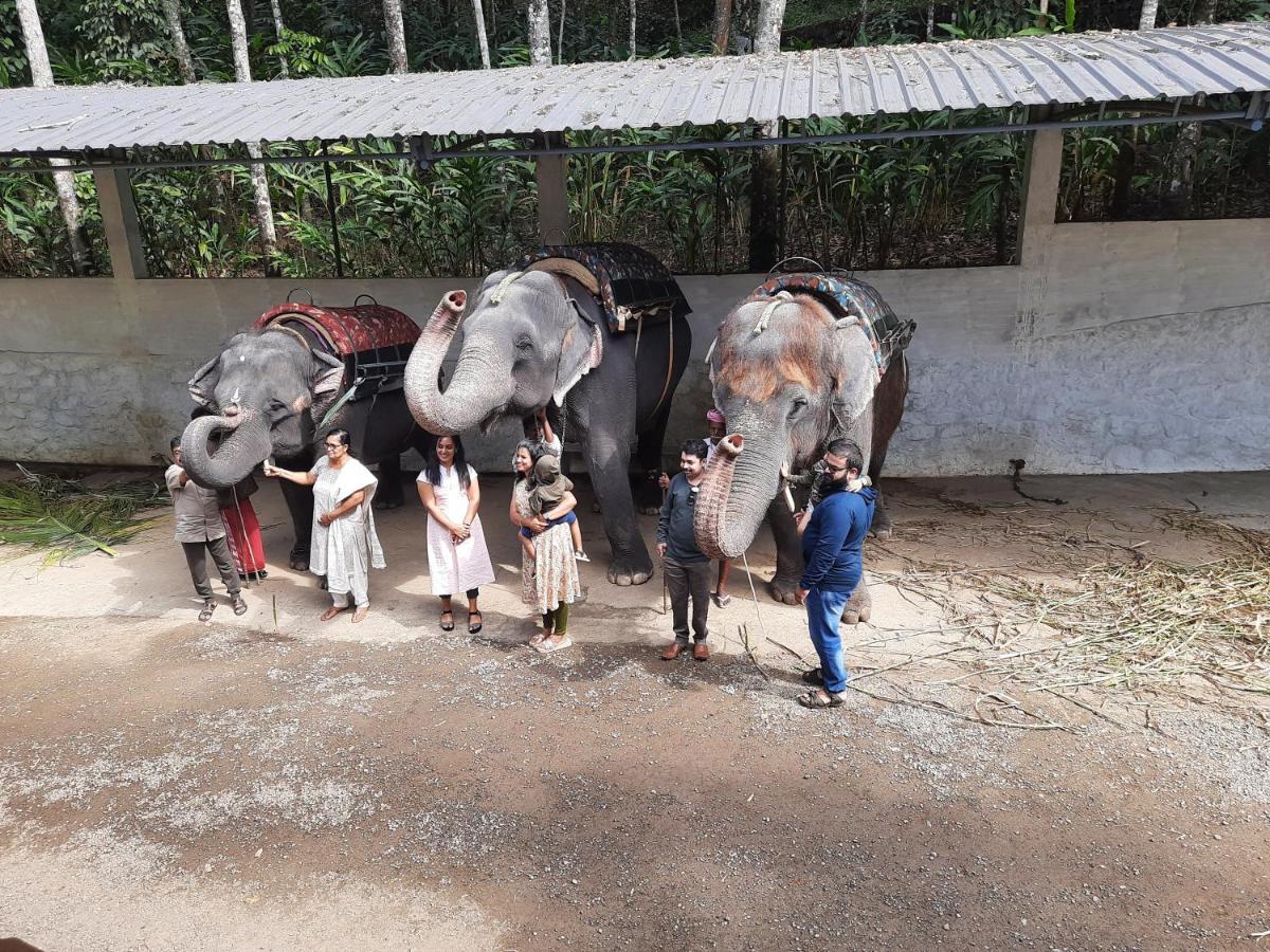 Sopanam Heritage Thekkady Luaran gambar